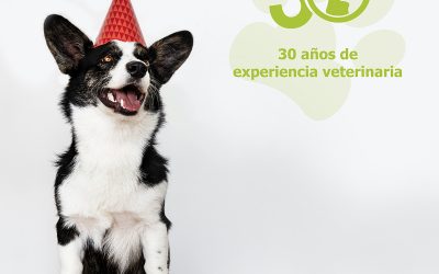 ¡En Clínica Veterinaria Taoro cumplimos 30 años!