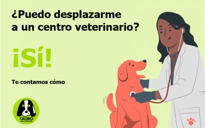Seguimos abiertos para cuidar de la salud de tu mascota